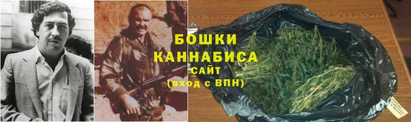 хмурый Бронницы