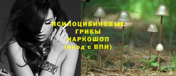 мдма Бородино